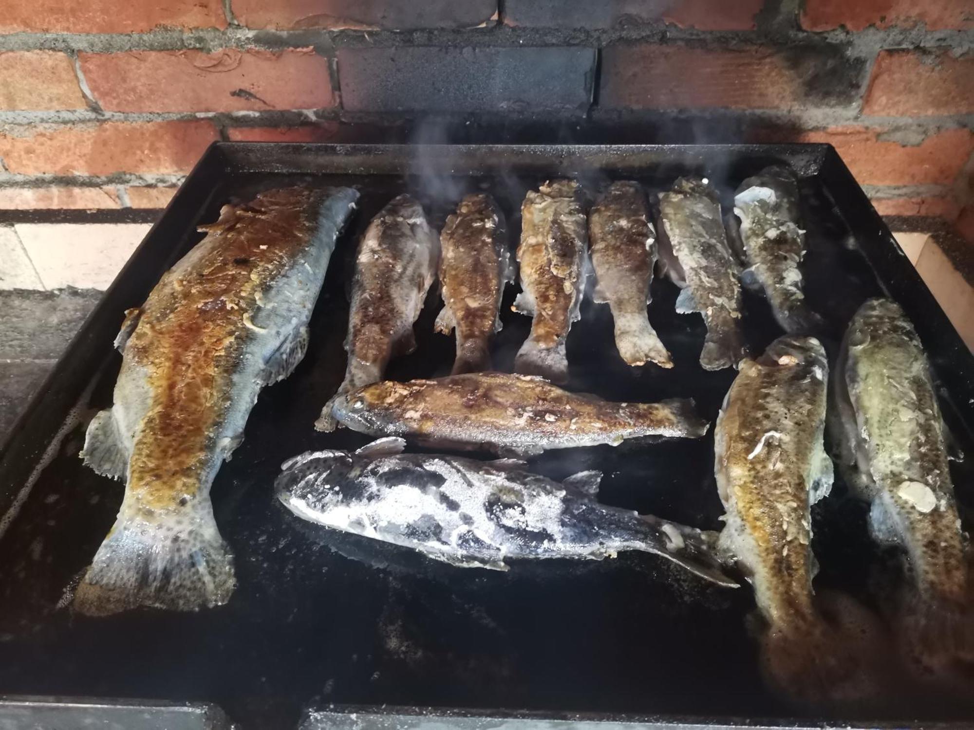 Ethno Cottage Momo Tepca Žabljak Стая снимка