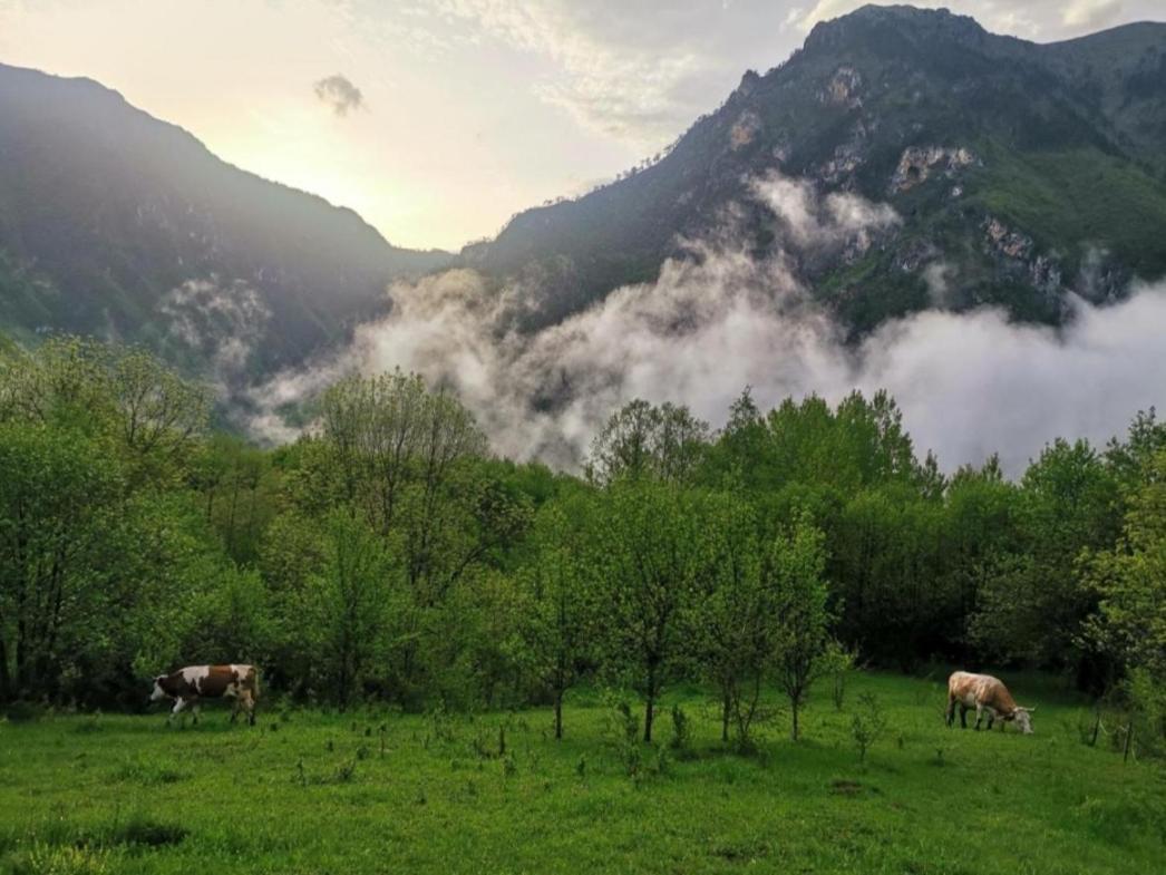 Ethno Cottage Momo Tepca Žabljak Екстериор снимка